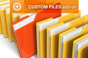 Custom Files