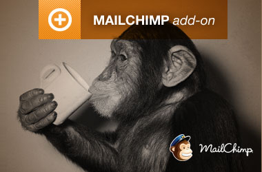 MailChimp Integration (EE3)